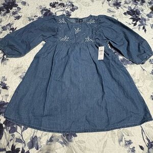 GAP Blue Embroidered Kids Dress